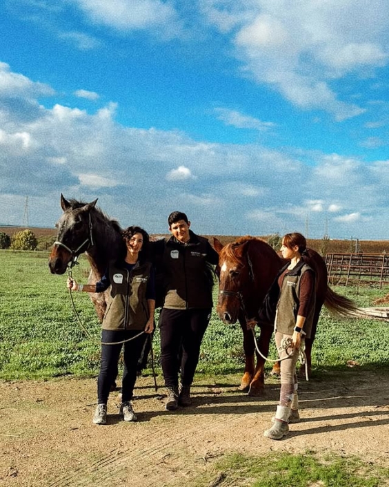 Agroganadera Saycor Piensos 06