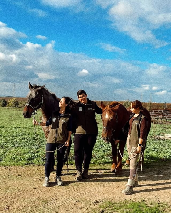 Agroganadera Saycor Piensos 07