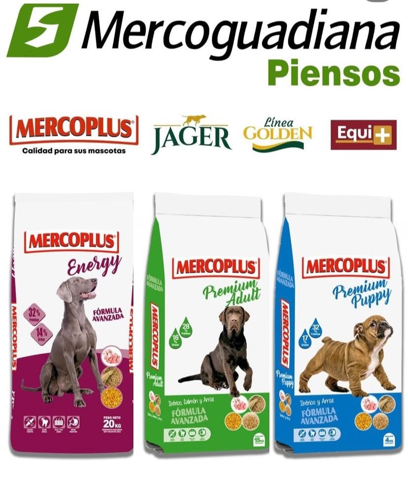 Whatsapp Image 2025-06-02 At 17.22.24